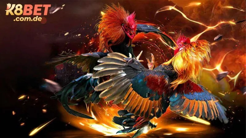 Đá gà K8BET – Sảnh WS168 đỉnh cao thượng đẳng